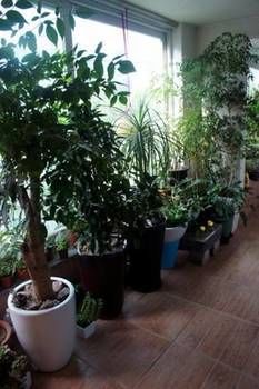 Hotel Denis'S House Seul Zewnętrze zdjęcie